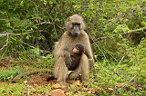 IMG_2657
