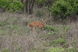 IMG_3070