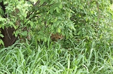 IMG_3937