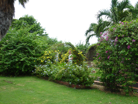 A014_DSC00036