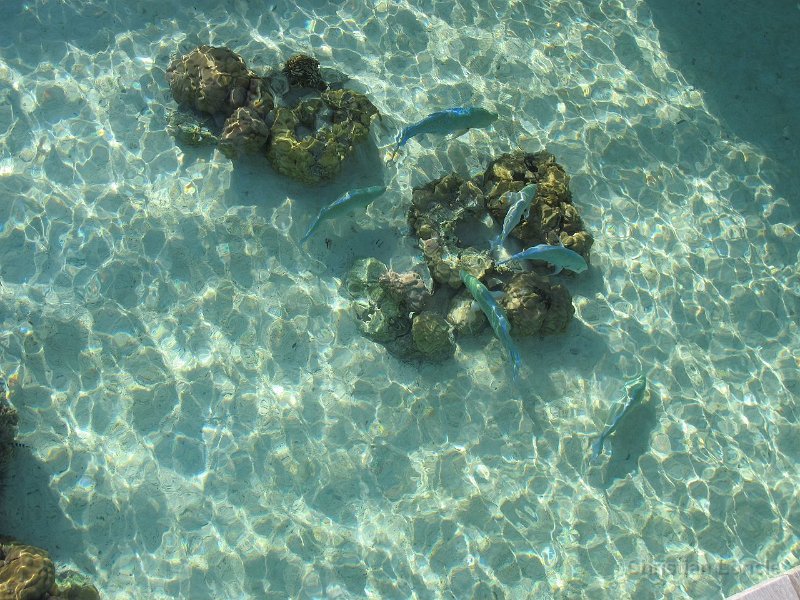 0120 IMG 1540 Bora-Bora