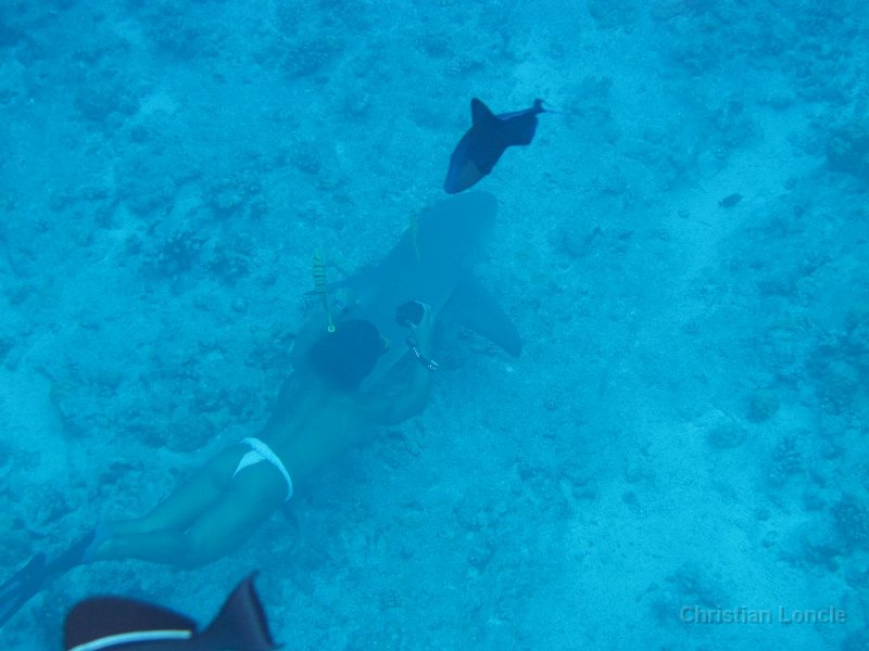 0152 IMG 1573 Bora-Bora