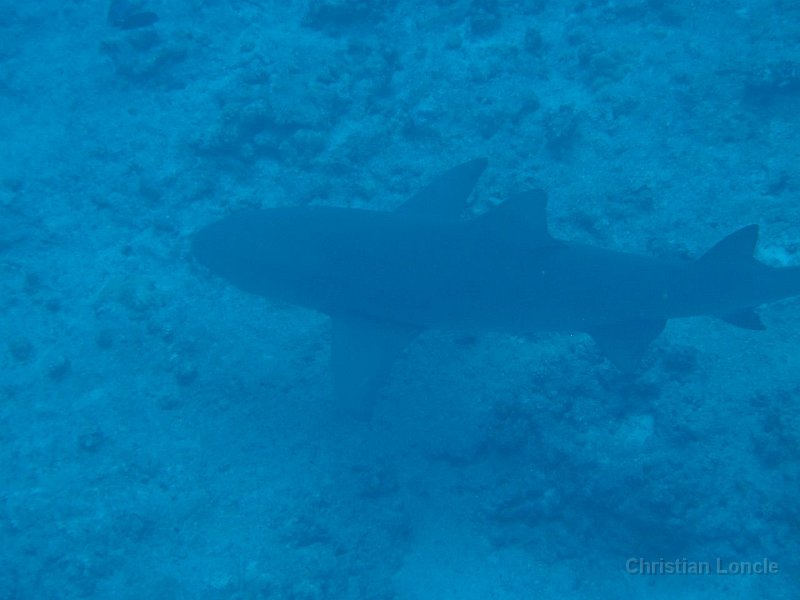 0153 IMG 1575 Bora-Bora