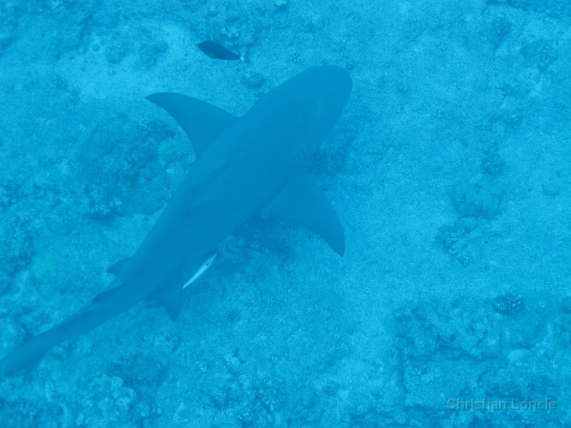 0156 IMG 1585 Bora-Bora