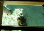 0100_IMG_2988_Bora-Bora.JPG