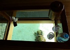 0101_IMG_2990_Bora-Bora.JPG