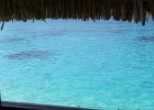 0109_IMG_3003_Bora-Bora.JPG
