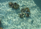 0120_IMG_1540_Bora-Bora.JPG