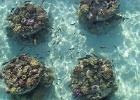 0121_IMG_1542_Bora-Bora.JPG