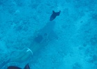0152_IMG_1573_Bora-Bora.JPG