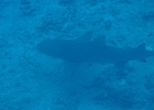 0153_IMG_1575_Bora-Bora.JPG