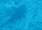 0156_IMG_1585_Bora-Bora.JPG
