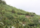 0163_IMG_3101_Bora-Bora.JPG