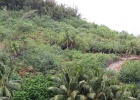0165_IMG_3104_Bora-Bora.JPG