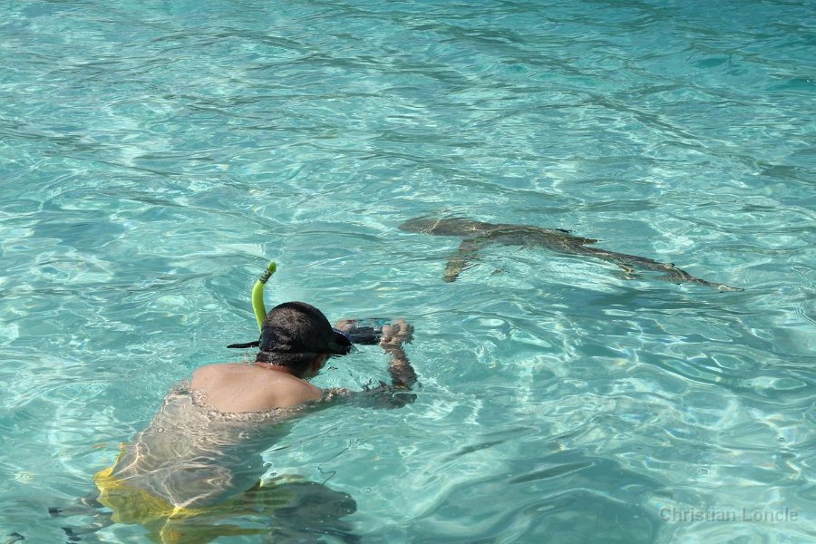 0106 IMG 1959 Moorea