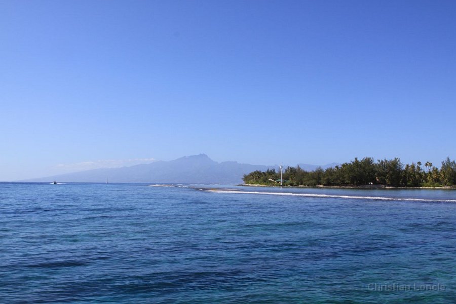 0275 IMG 2192 Moorea