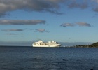 0050_IMG_1914_Moorea.JPG