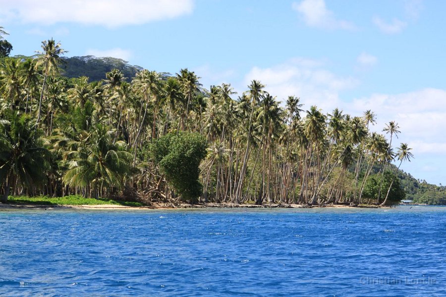 0164 IMG 2506 Raiatea