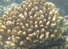 0112_IMG_1233_Raiatea.JPG