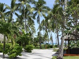 0104_IMG_3253_Rangiroa.JPG
